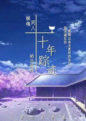 《(棋魂同人)棋魂同人之十年蹤跡》