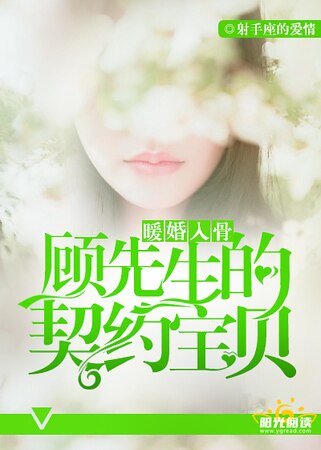 《暖婚入骨:顾先生的契约宝贝》