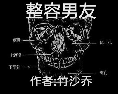 《整容男友》