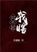 《對不起,我瞎》