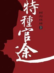 《特种官途》