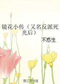 《镜花小传/反派死光后》