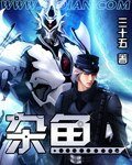 《雜魚/機戰英雄傳說》