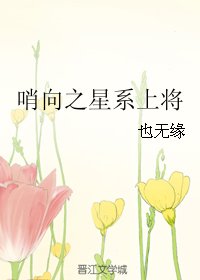 《哨向之星系上将》