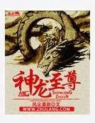 神龙至尊