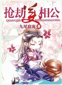《抢劫美相公》