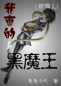 《(HP同人)我真的是黑魔王》