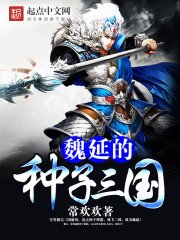 《魏延的種子三國》