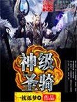 《神级圣骑》
