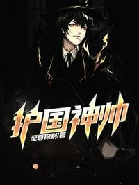 《護國神帥》