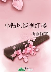 《(BG/红楼梦同人)小钻风巡视红楼》