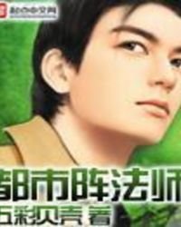《都市阵法师》