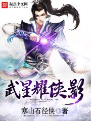 《武星耀侠影》
