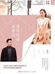 《漂洋过海来看你》