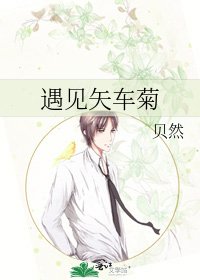 《遇見矢車菊》