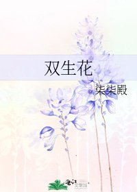 《雙生花》