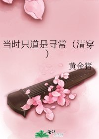 《当时只道是寻常(清穿)》