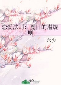 《恋爱法则:夏日的潜规则》