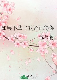 《如果下辈子我还记得你》