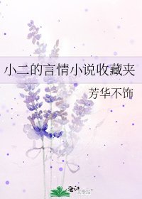 《小二的言情收藏夹》