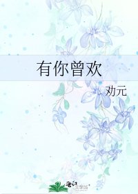 《有你曾歡》
