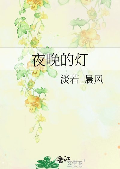 《夜晚的灯》
