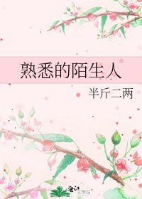 《熟悉的陌生人》