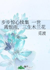 《步步惊心续集 一世离恨雨,三生木兰花》