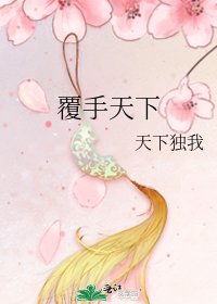 《覆手天下》
