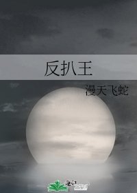 《反扒王》