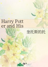 《Harry Potter and His Veela》