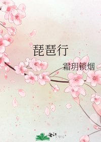 《琵琶行》
