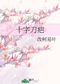 《十字刀疤》
