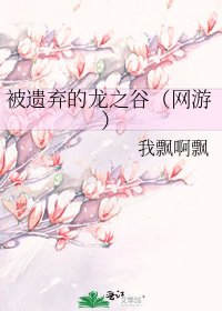 《被遗弃的龙之谷(网游)》