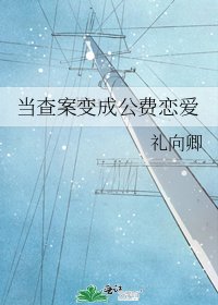 《当查案变成公费恋爱》