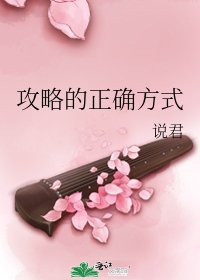《攻略的正确方式》