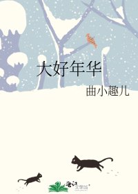 《大好年华》
