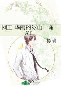 《網王 華麗的冰山一角AT》