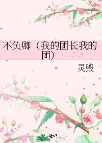 《不負卿(我的團長我的團)》