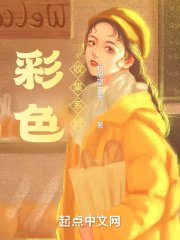 《彩色收集系統》