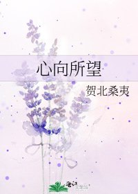 《心向所望》