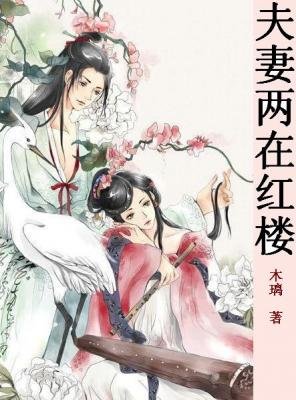 《(紅樓同人/BG)夫妻倆在紅樓》