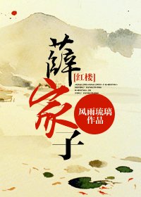 （BG/红楼同人）薛家子