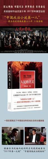 《人民的名义(出书版)》