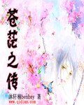 《苍茫之传》