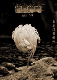 《诡夏蝉鸣》